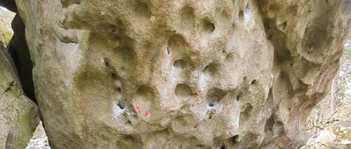 Image of Banner Ussy